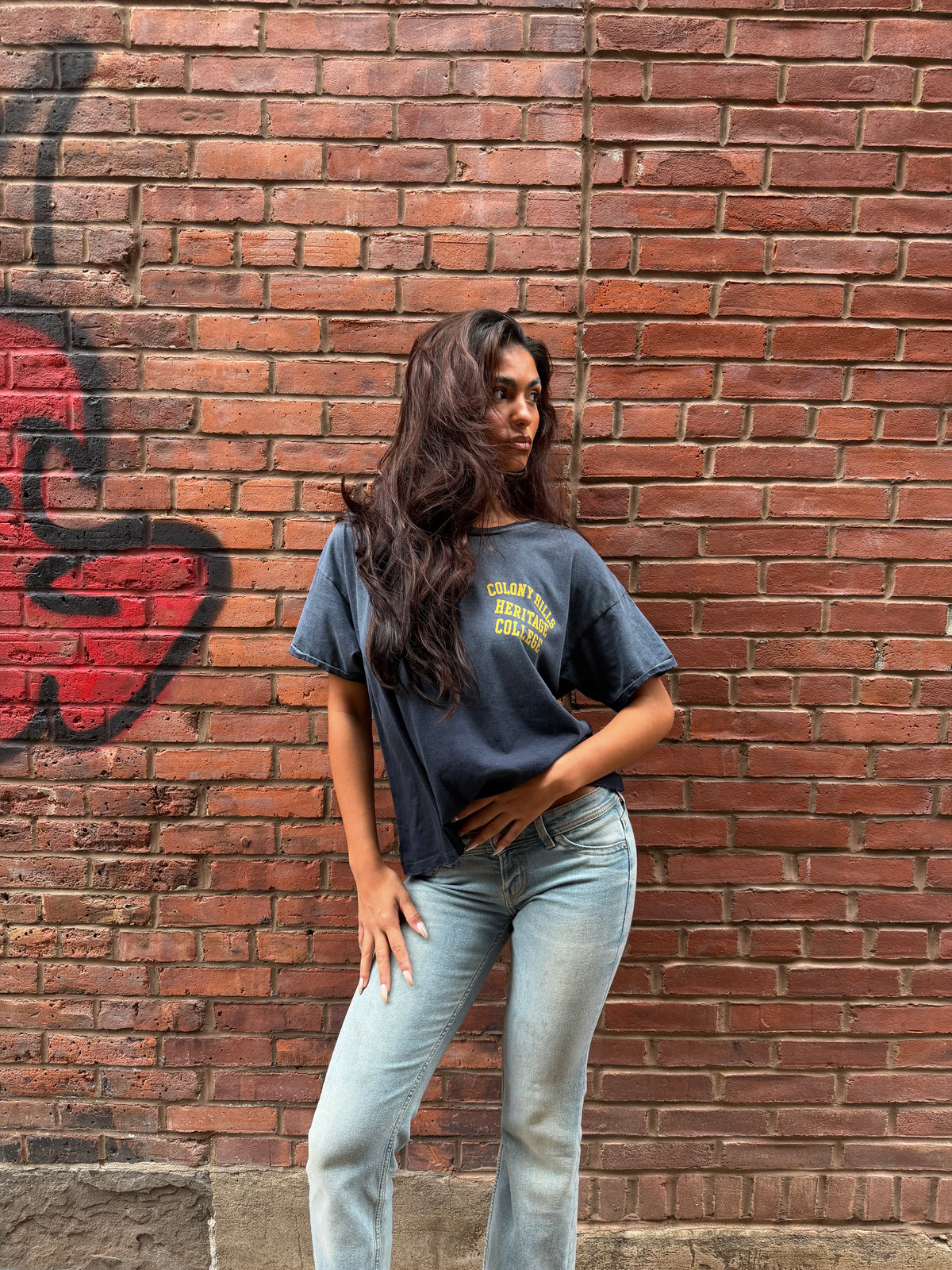 Colony Hills Heritage College Tshirt